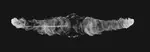 Radio emission from AGN-driven jets and winds